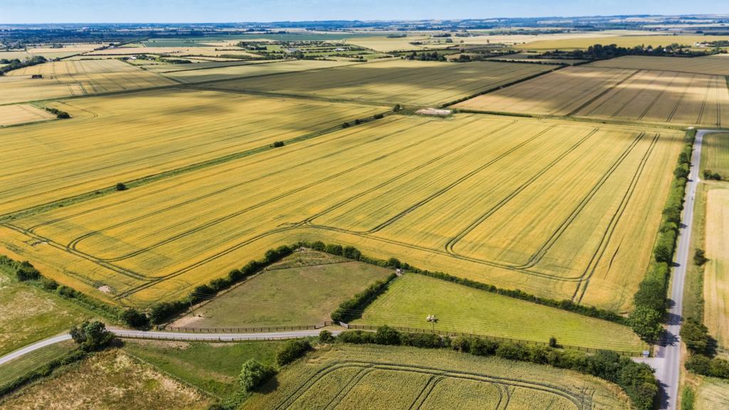 1316350-1-6866827c05531-ARW (5)