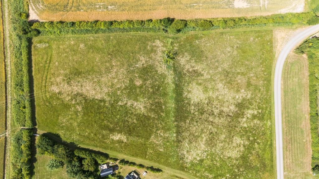 1316350-1-6866827c05531-ARW (8)