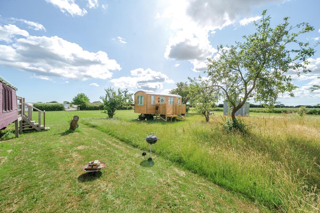 1316350-14-686661c23ed9d