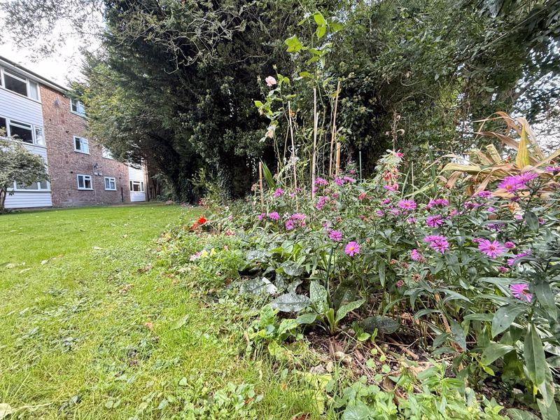 Front Gardens