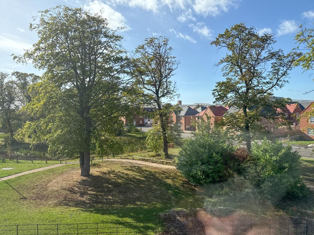 Surrounding Area