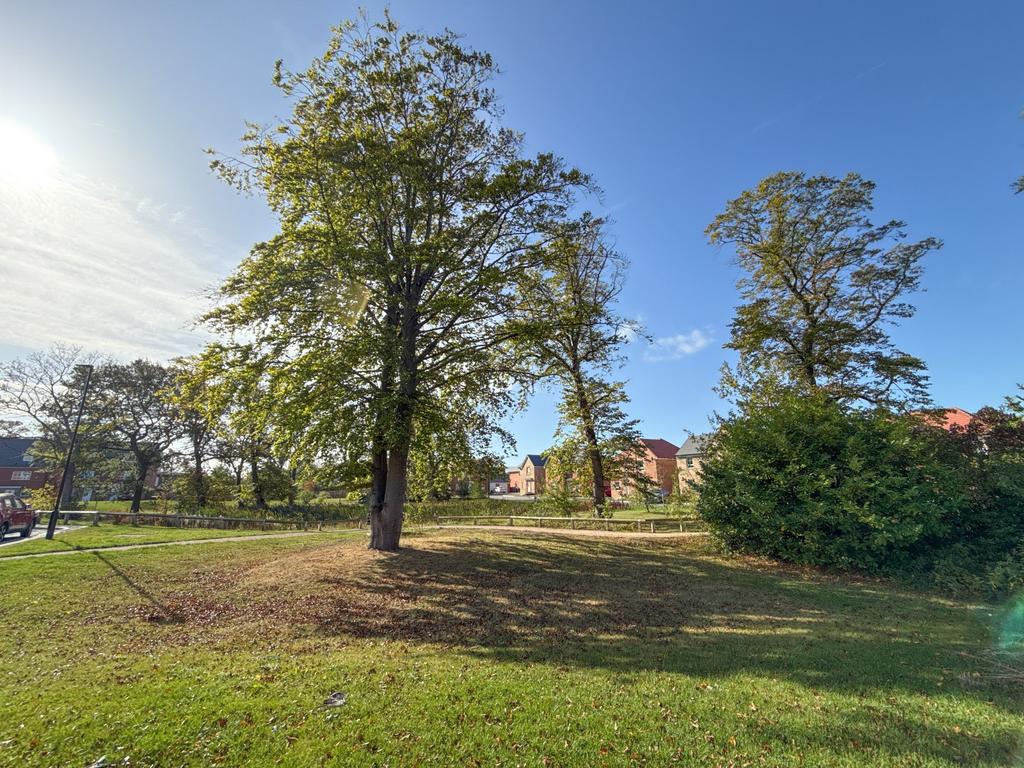 Surrounding Area