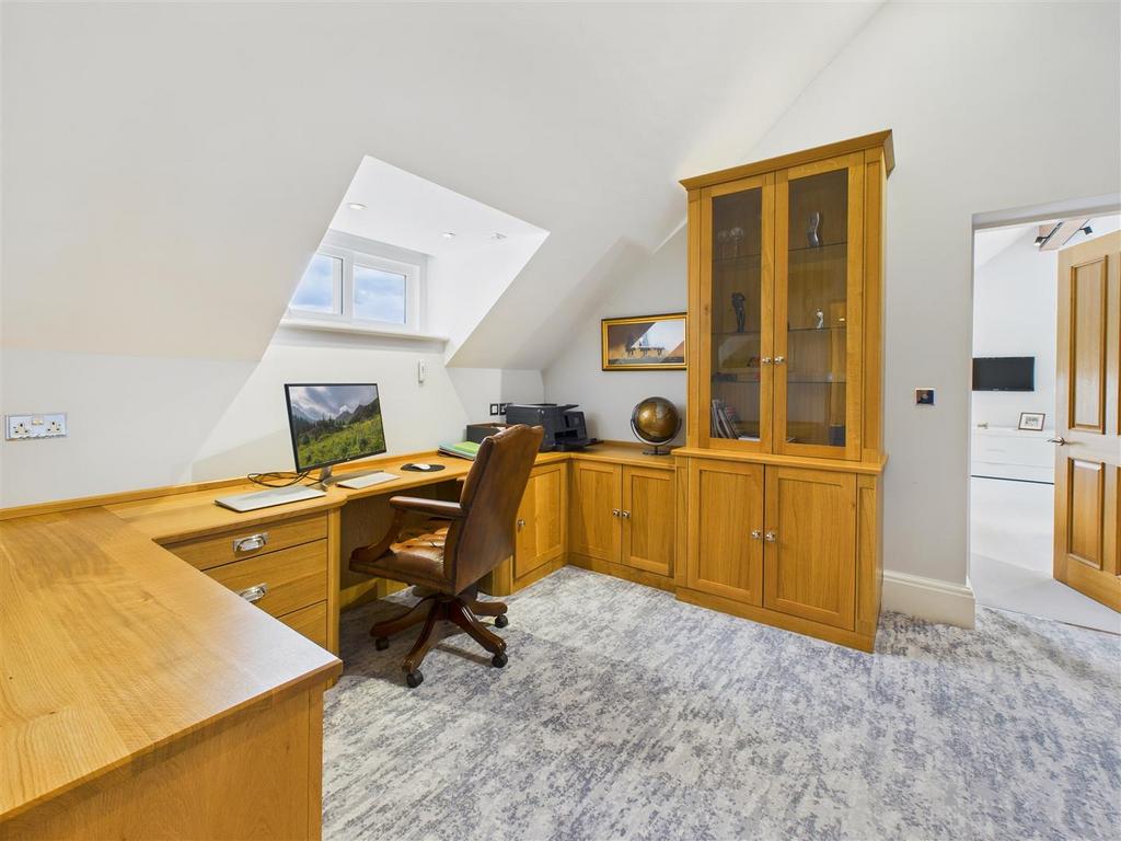 Study Area
