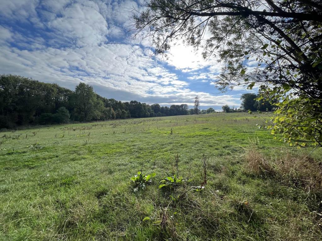 Fields