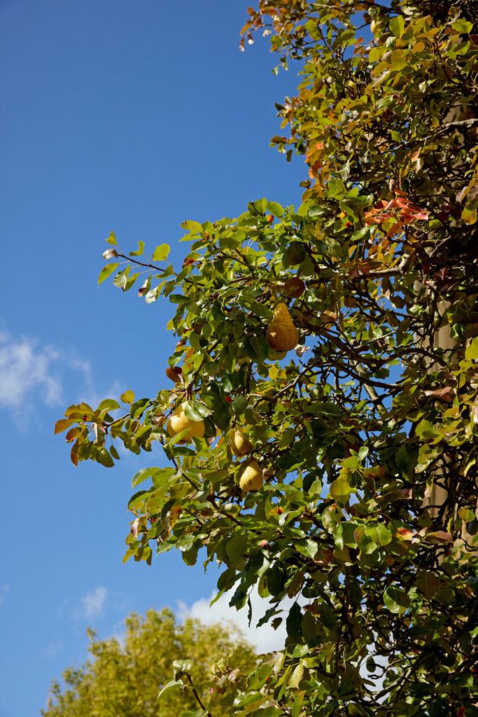 311288 - a0 OP60000062 S81 MAE N28.jpg