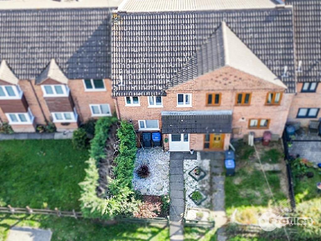 AERIAL2.jpg