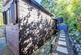 Additional image 34 of Duke Street, St. Georges, Telford, Shropshire, TF2