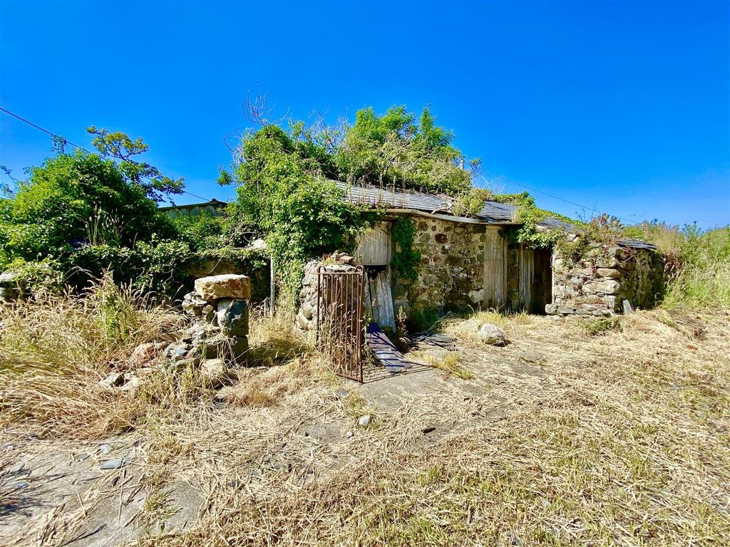 DD036348-A40 E-4102-9 A23-92 F24 E892 E63.jpeg