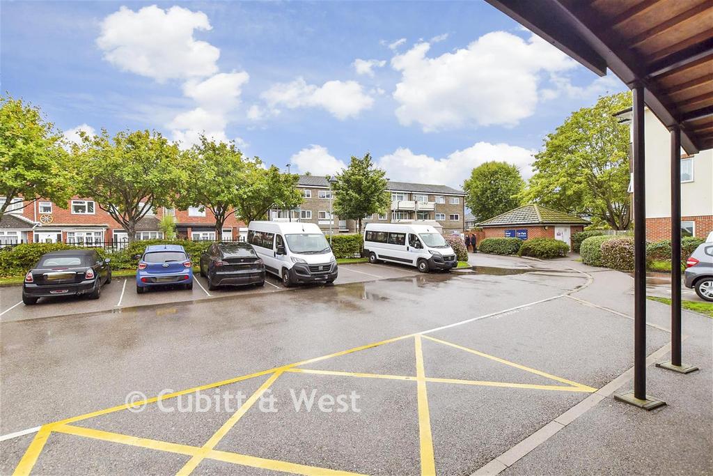 Driveway/Parking
