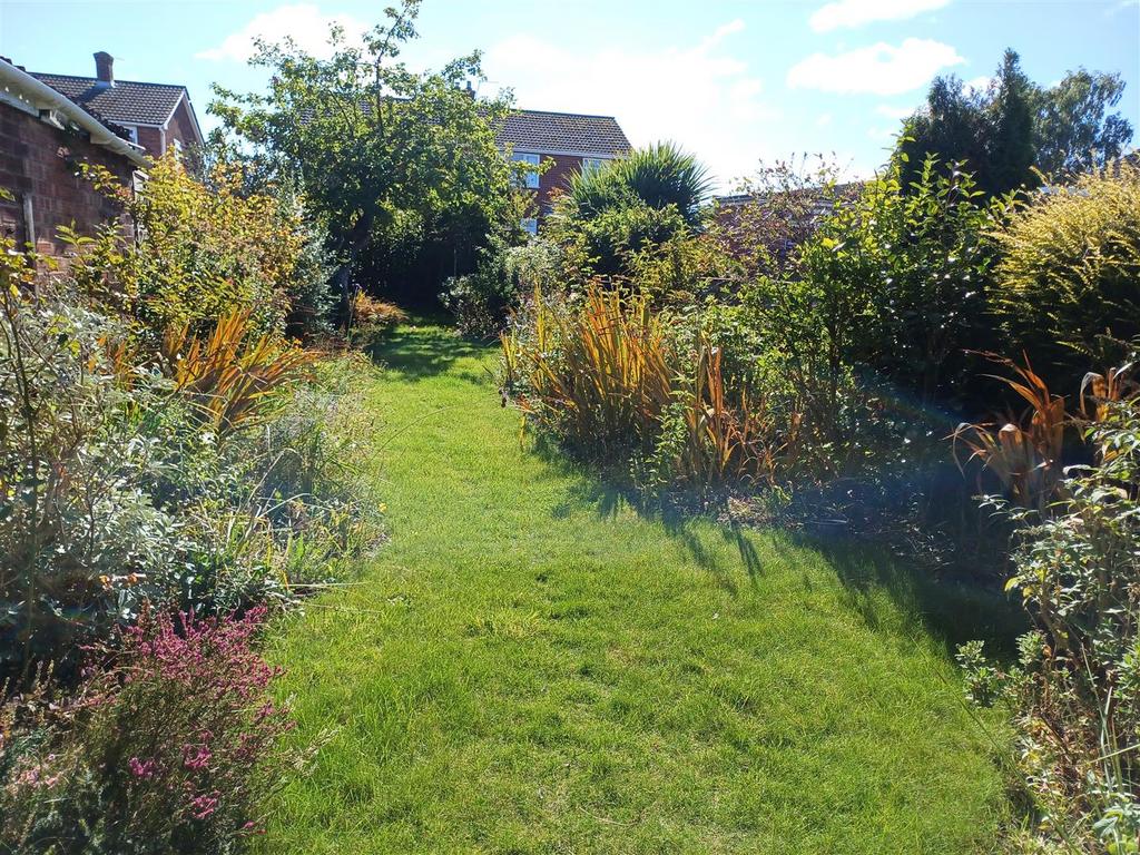 Back Garden 1.jpg