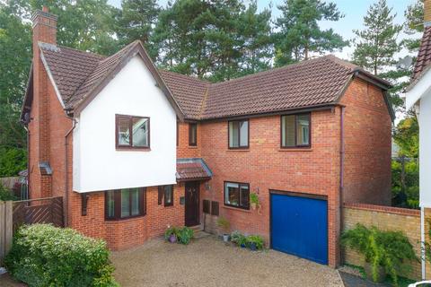 undefined, Northbrook Copse, Berkshire RG12