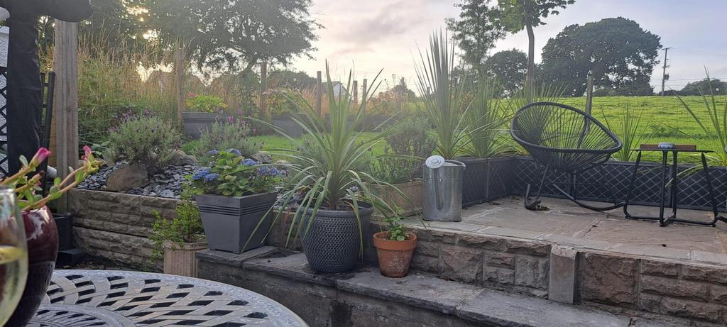 Patio (1).jpg