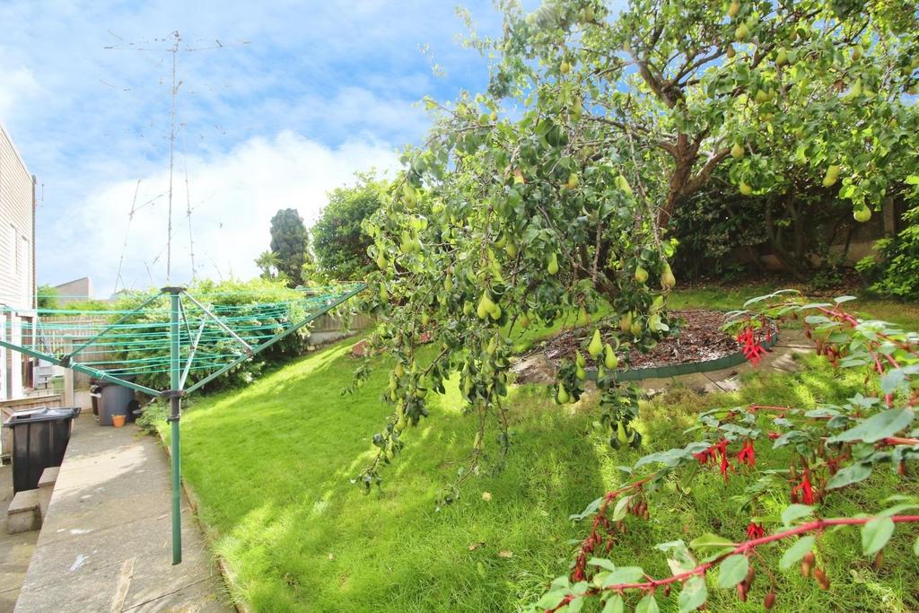 Front garden