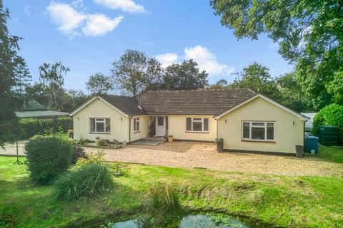 4 bedroom detached bungalow for sale, Bury Road, Bury St. Edmunds IP29