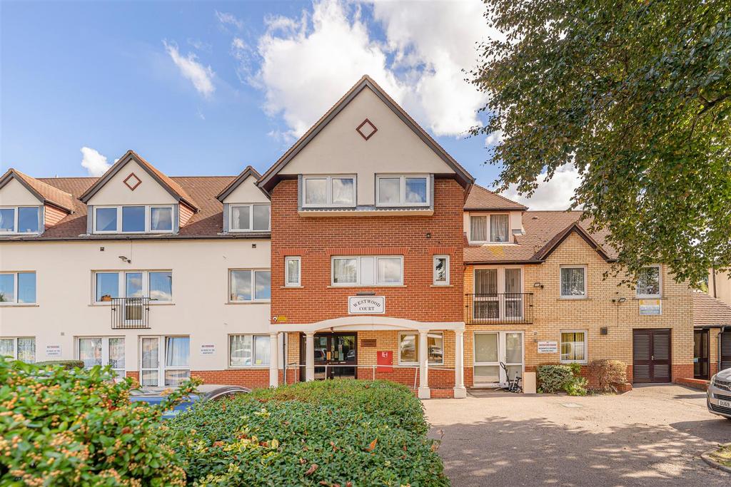  DSC3117.jpg