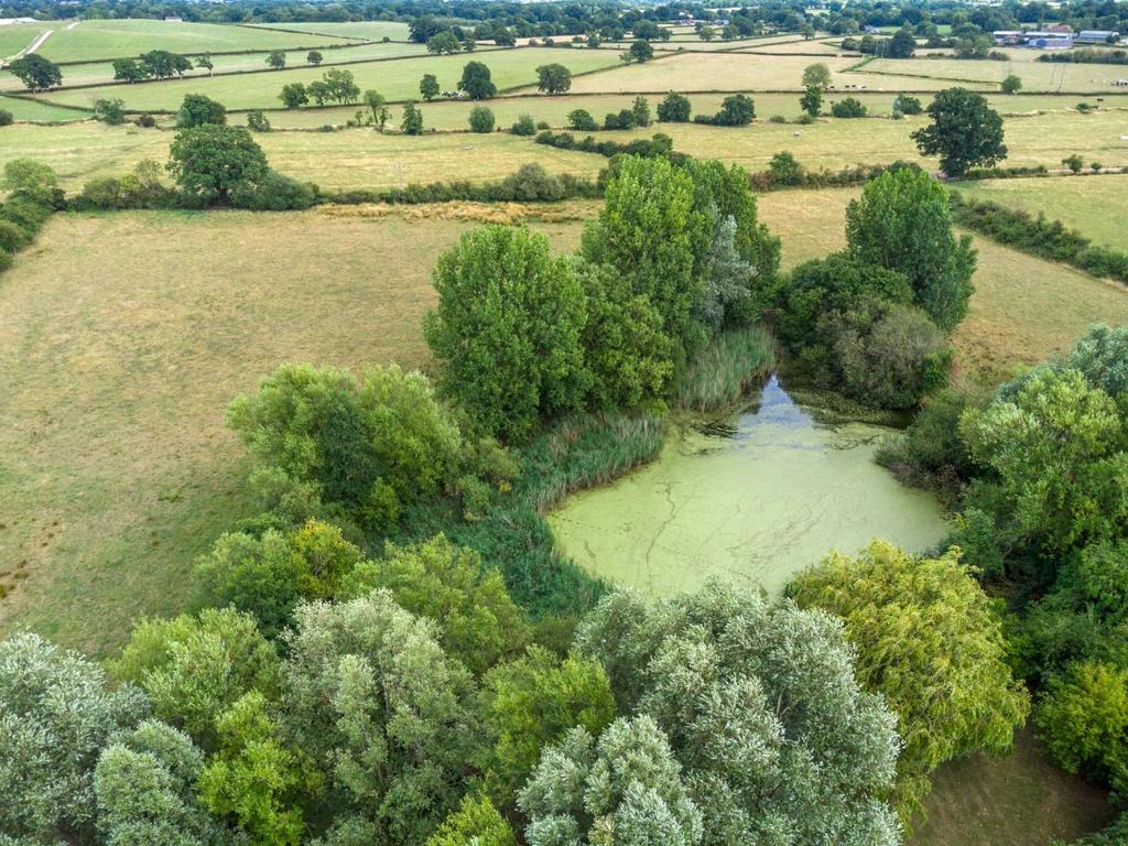 DJI 0344.jpg