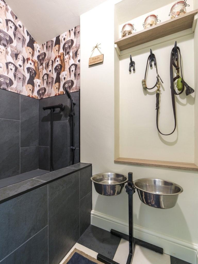 Dog Spa