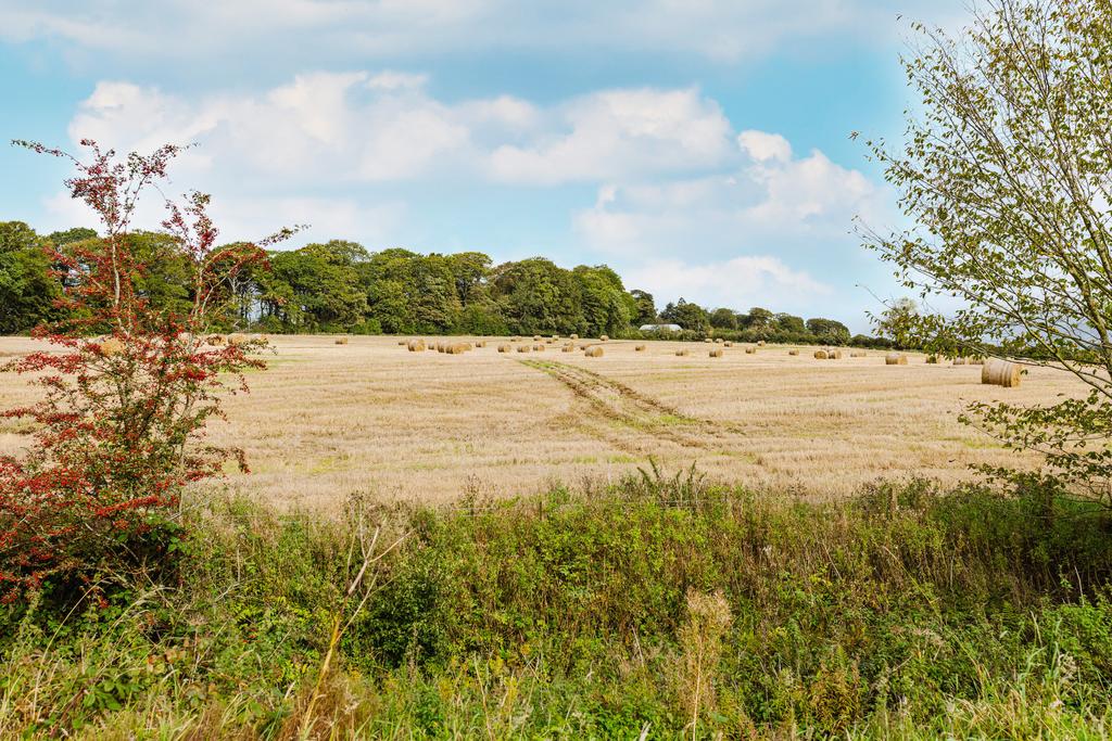 Countryside 1
