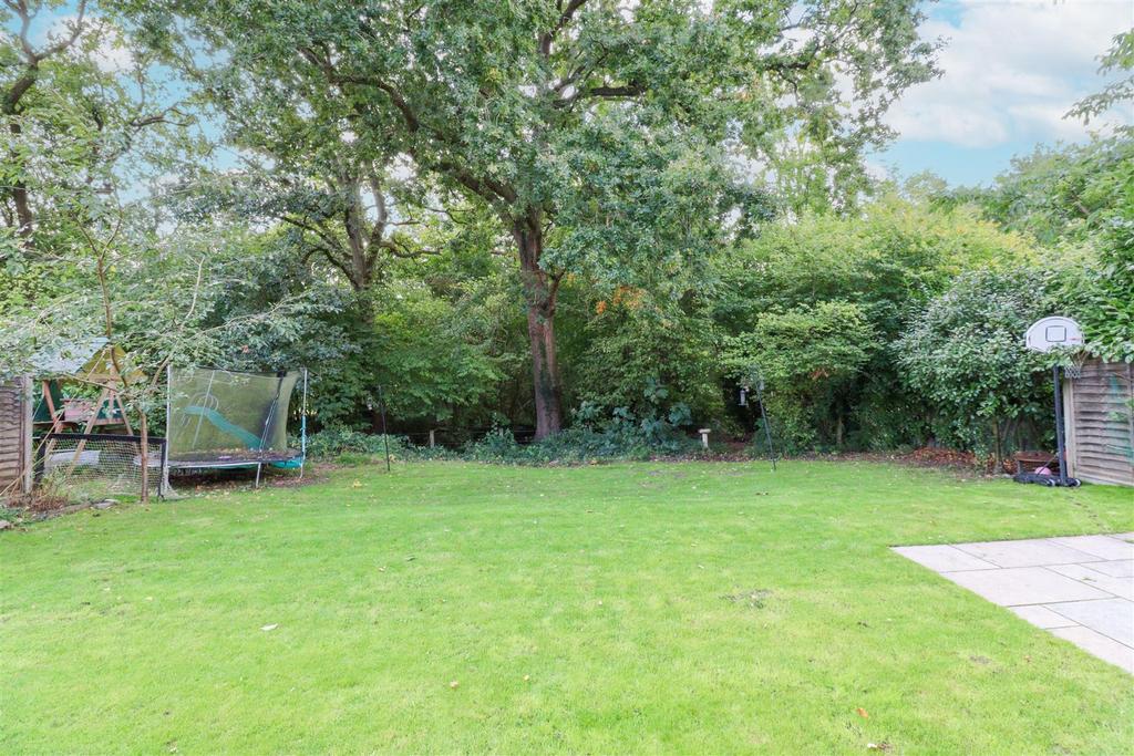 Garden Open Plan To Nature Reserve