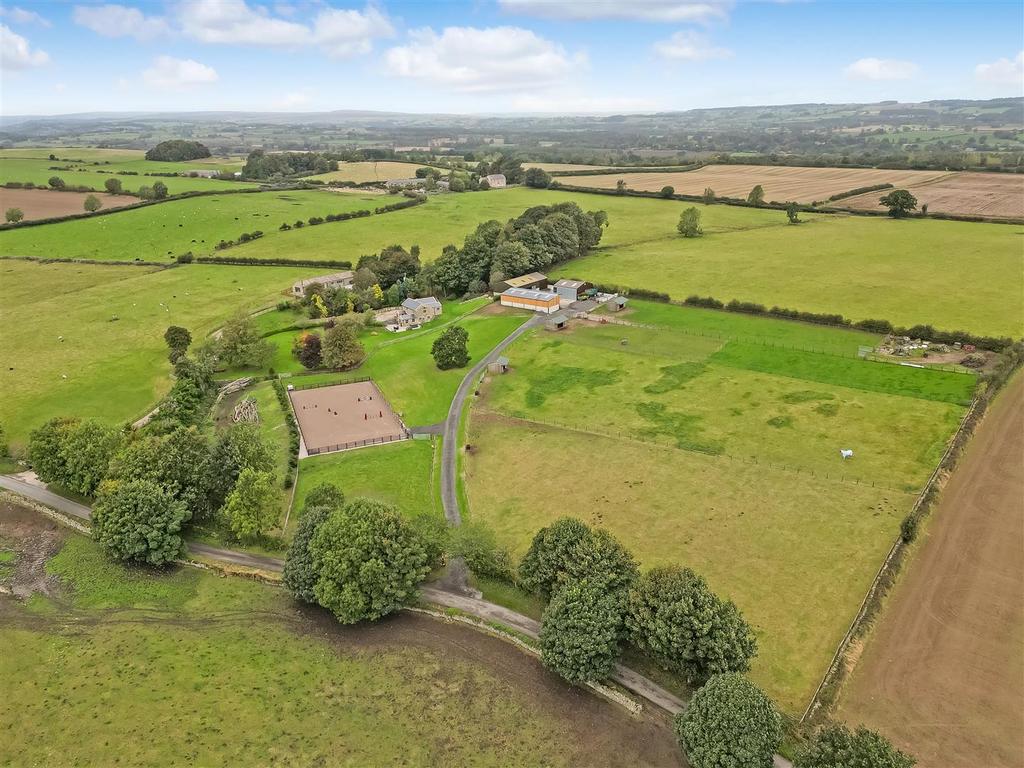 DJI 0996.jpg
