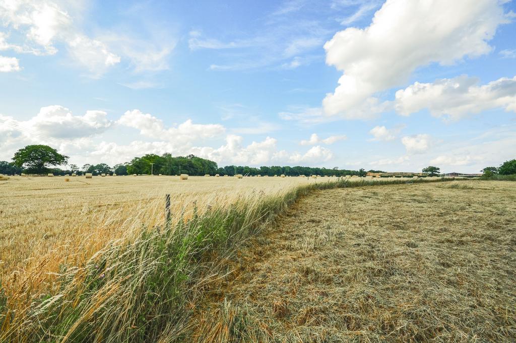 Countryside Views