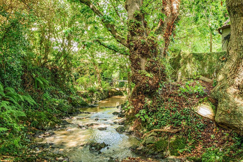 Stream