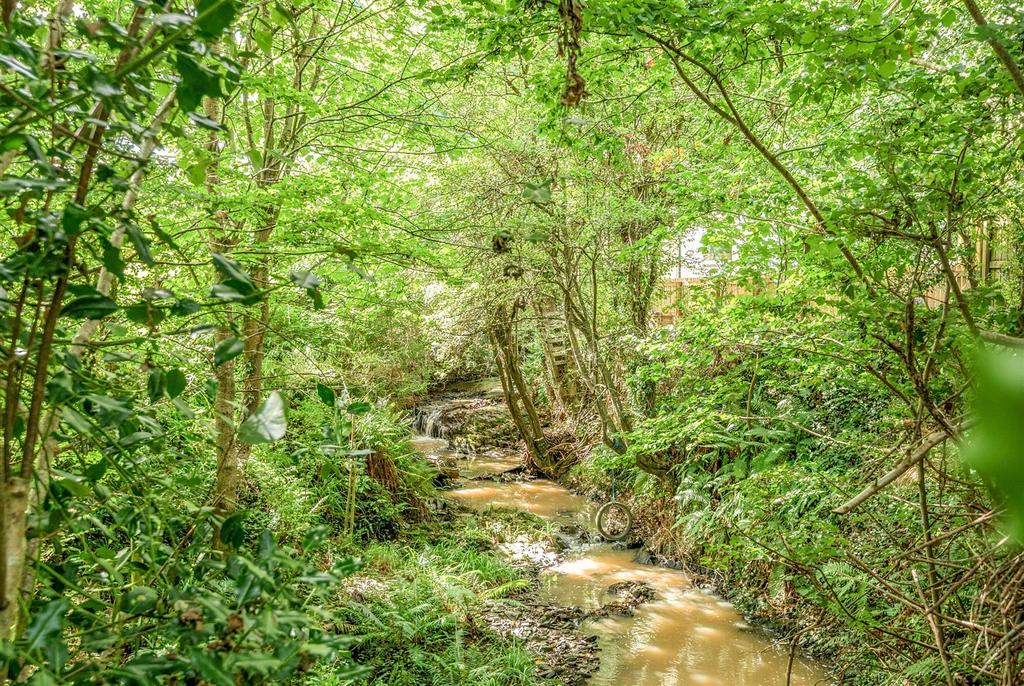 Stream