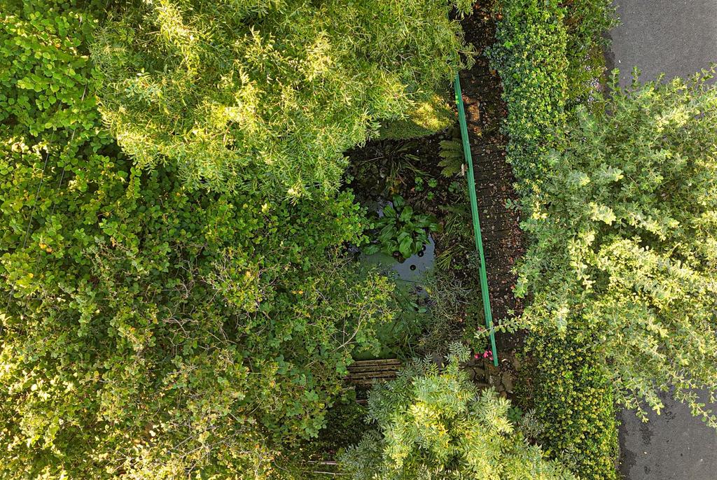 Drone View