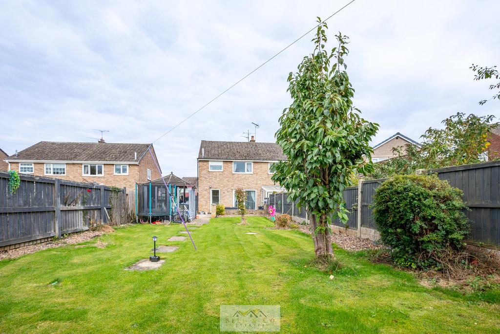Back garden 1.5