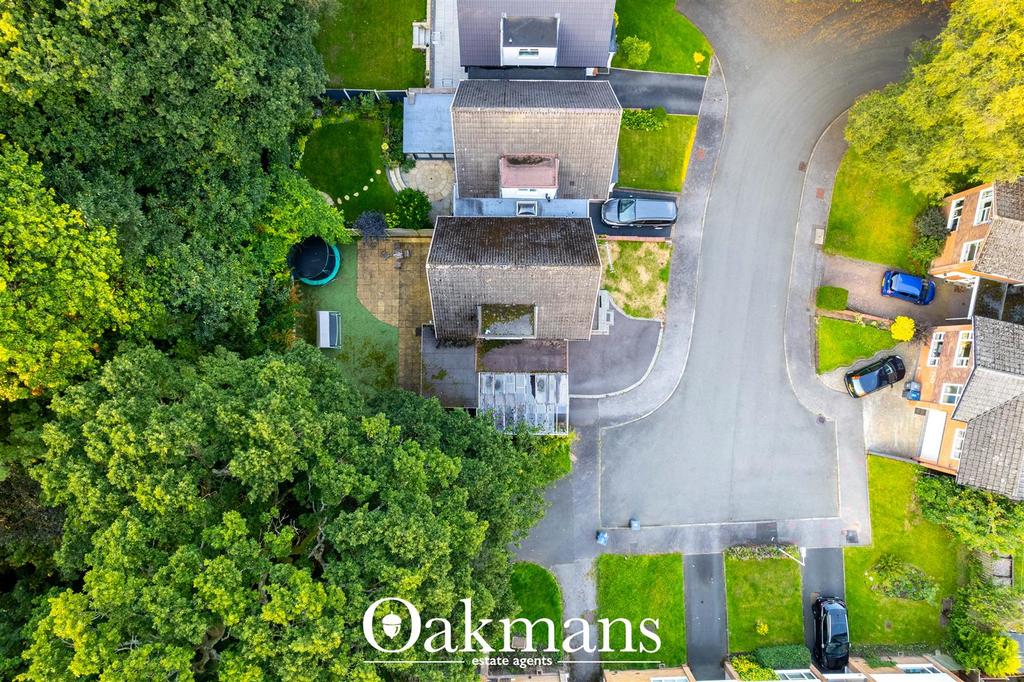 DJI 0053.jpg