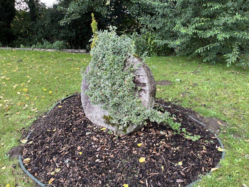 Photo 25