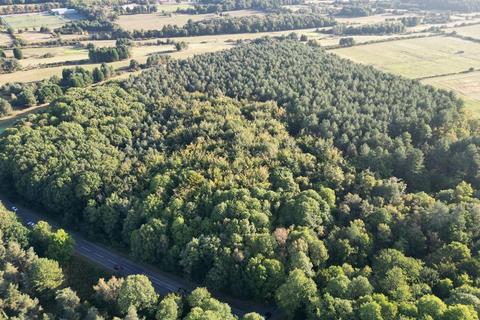undefined, Lane End Wood, Clumber, Worksop