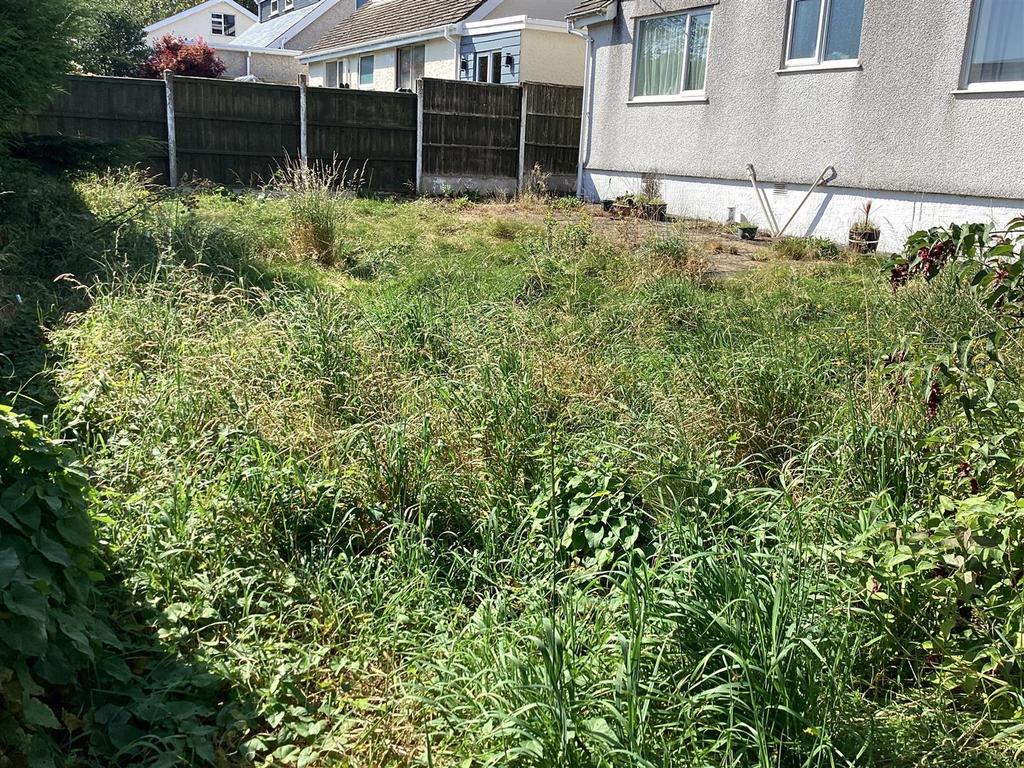 Back garden.jpg