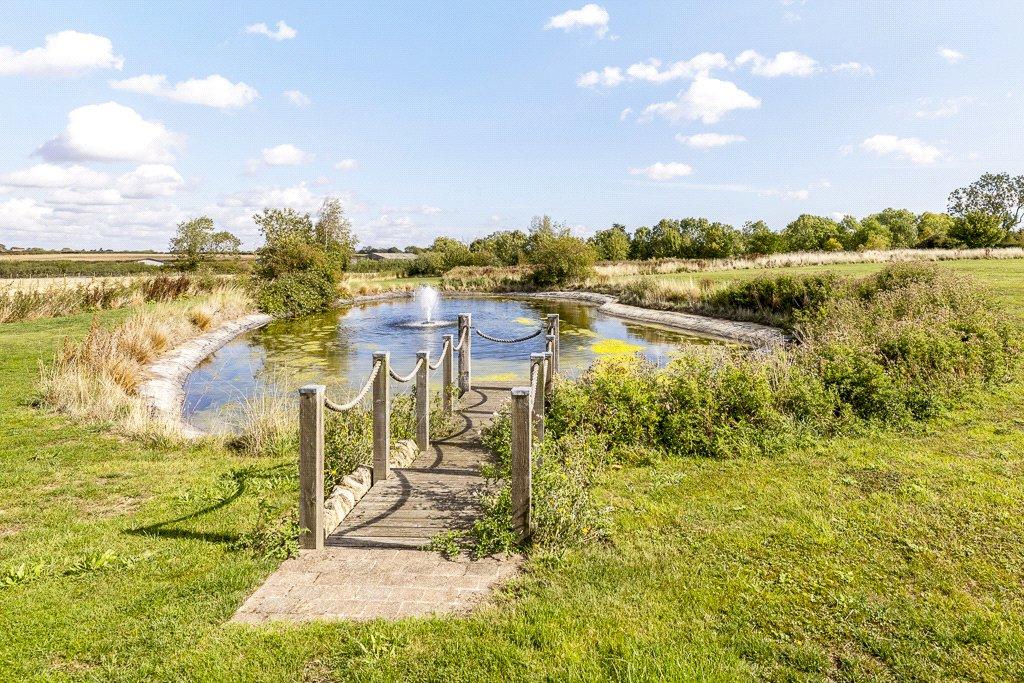 Pond