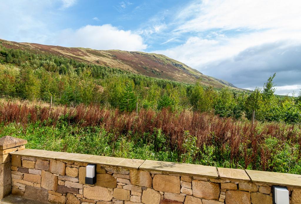 Campsie Hills