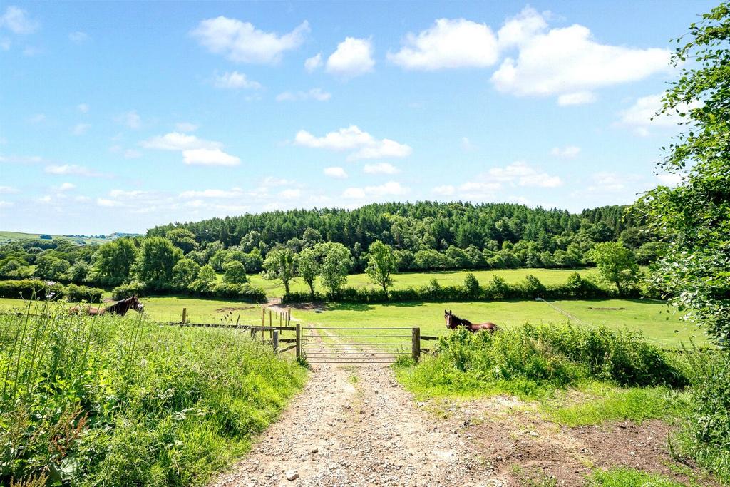 Pasture Land