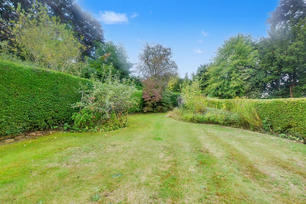 Garden 6.jpeg