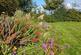 Additional image 36 of Cefn Abbey , Carmarthen SA32