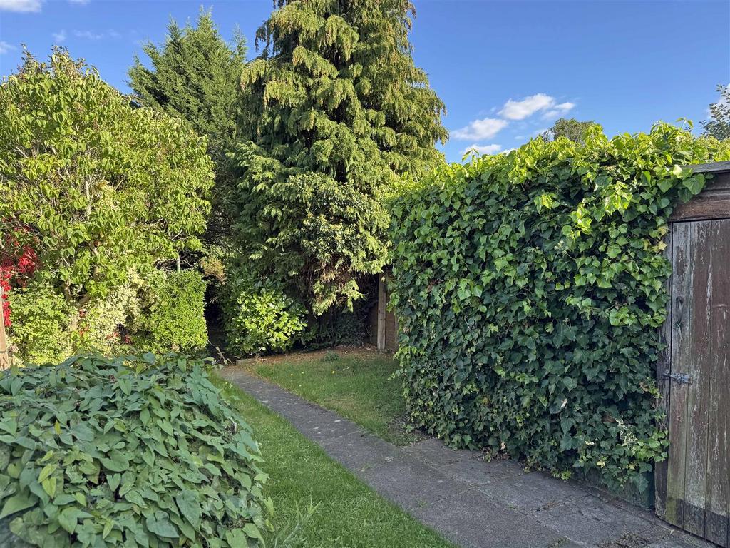 Garden 3.jpg