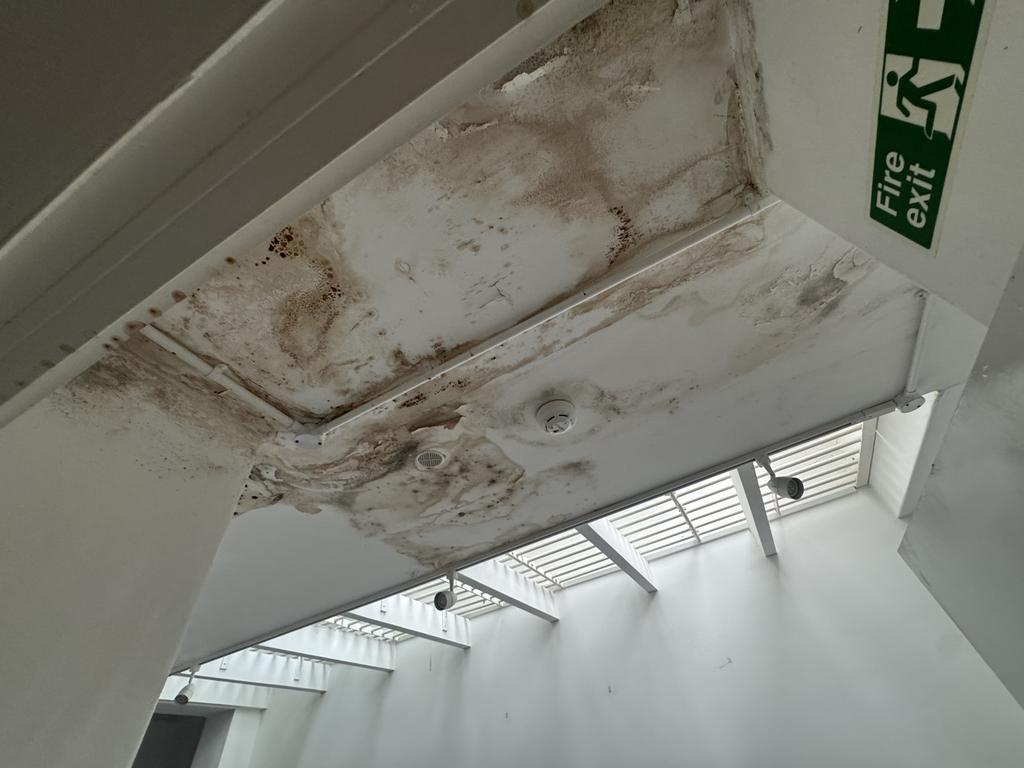 IMG 2138 T202509251406.jpeg