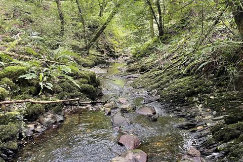 undefined, Pontbren Dingle, Bethlehem Road, Bethlehem SA19