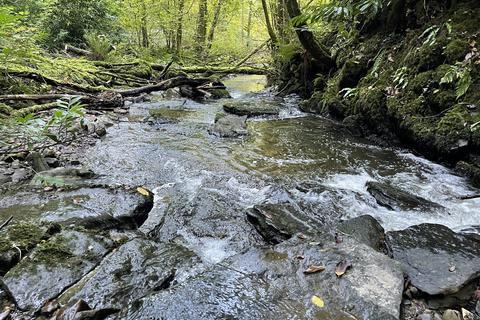 undefined, Pontbren Dingle, Bethlehem Road, Bethlehem SA19