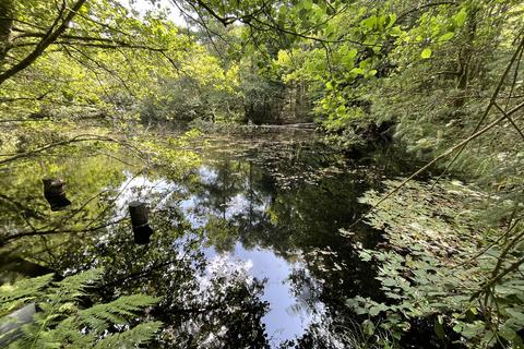 undefined, Pond Wood, Cwmdu, Llandeilo SA19