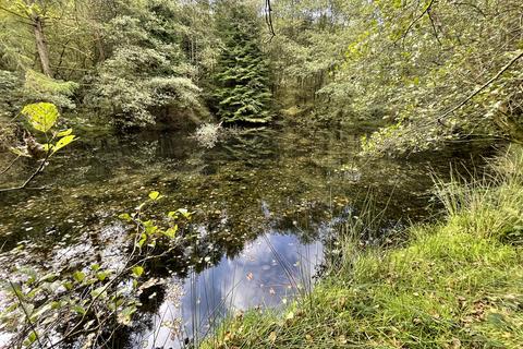 undefined, Pond Wood, Cwmdu, Llandeilo SA19