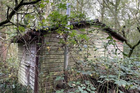 undefined, Pond Wood, Cwmdu, Llandeilo SA19