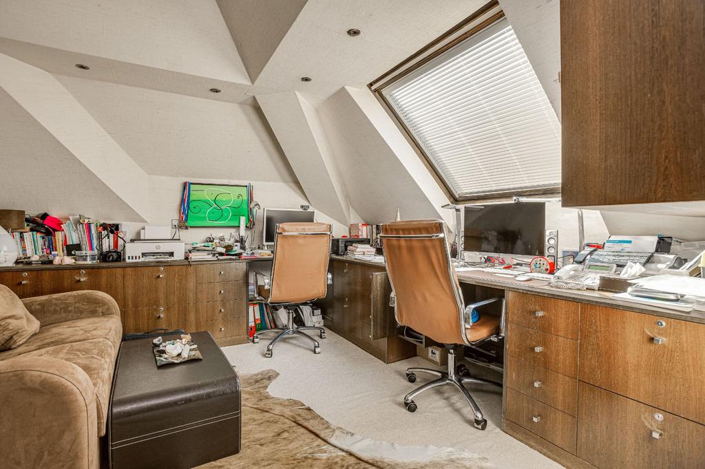 Study Area