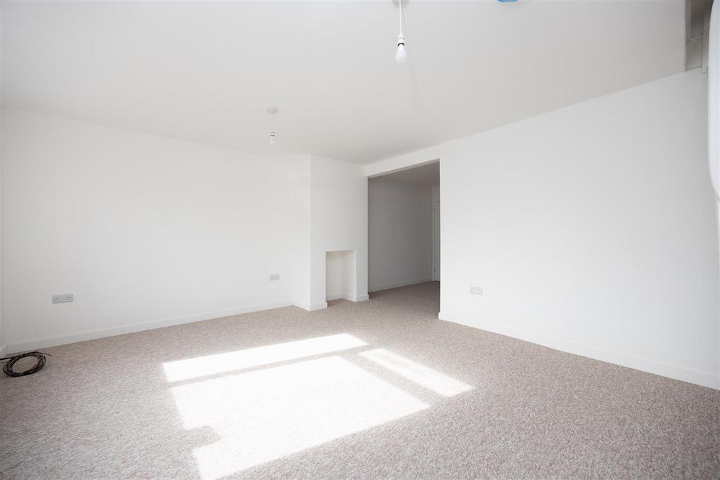 D.jpg