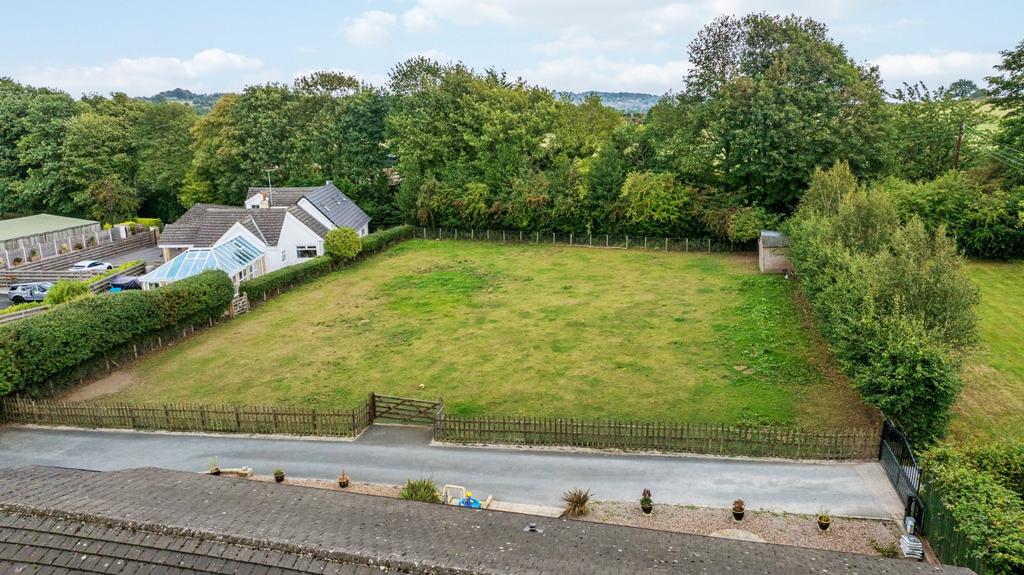 Picture No. 15