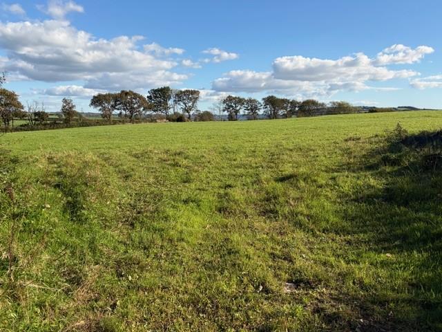 The Land