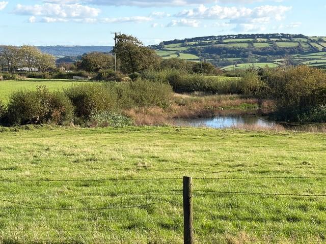 The Land